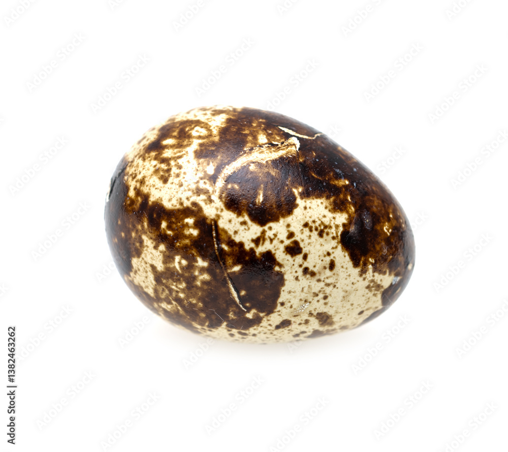 quail egg on white background. quail egg on white background.