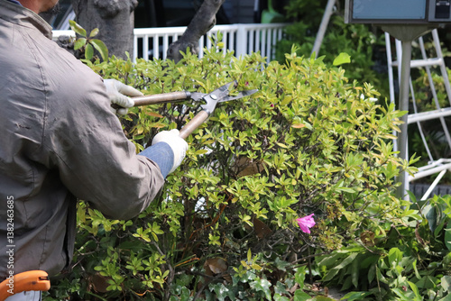 Tableau sur toile 職人による植木剪定