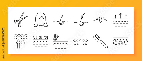 Hair and skin care set icon. Thin line icons of scissors, head, hair follicle, skin pores, dermis layers, brush, tissue box, scalp with clean and minimal design elements