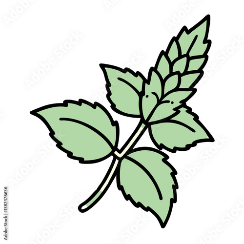Cartoon Mint Sprig Vector art Green Leaves, Stem, Botanical
