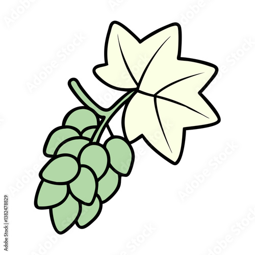 Hops Plant vector Green Cones, Leaves, Brewing Ingredient