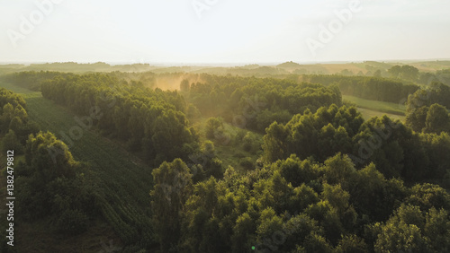 Obraz na płótnie Morning mist rolls over lush green forest w salonie