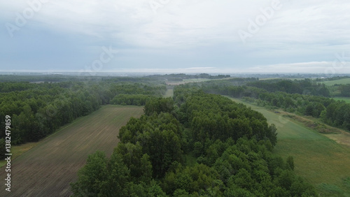 Obraz na płótnie Lush Woodland Bathed in Soft Dawn Light w salonie