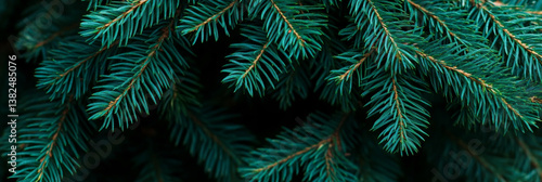 Obraz na płótnie Fresh green pine needles create lush, vibrant texture, perfect for nature themed designs or holiday decorations. rich color and detail evoke sense of tranquility and natural beauty w salonie