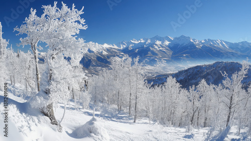 Wallpaper Mural A panoramic winter landscape featuring snow-covered trees and majestic mountains. Torontodigital.ca