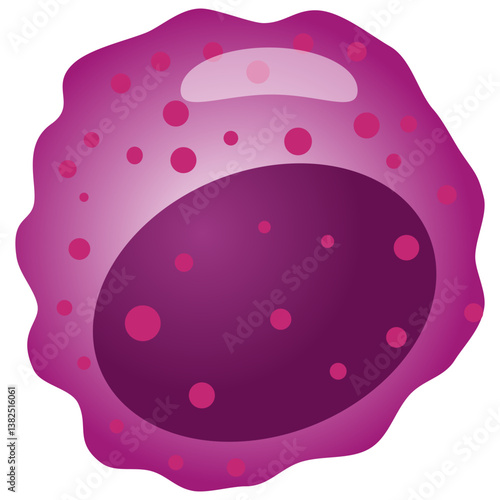 Set of Blood cells leukocytes