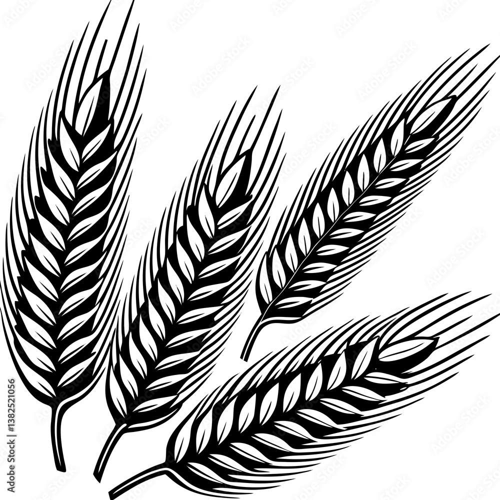 Obraz premium wheat ears isolated on white