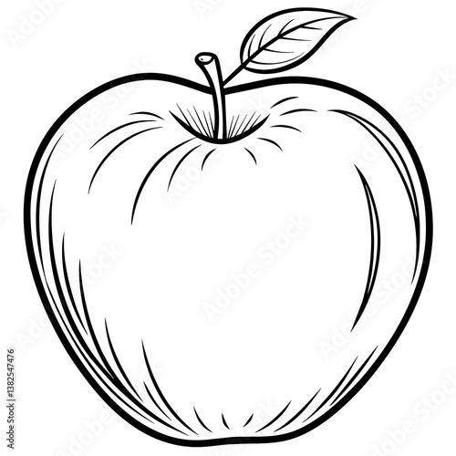 vector illustration of an apple