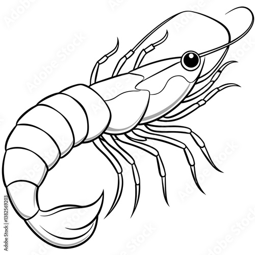 vector illustration of shrimp