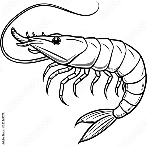 vector illustration of shrimp