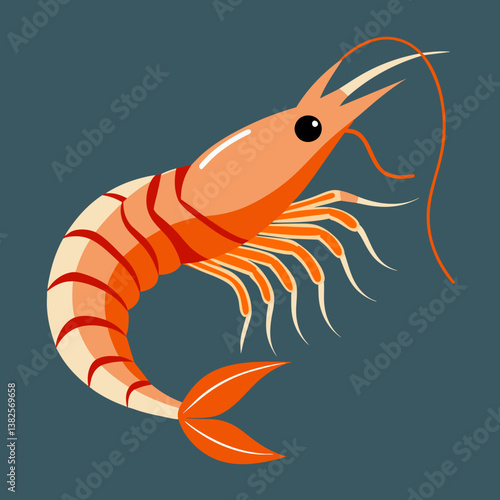 vector illustration of a shrimp