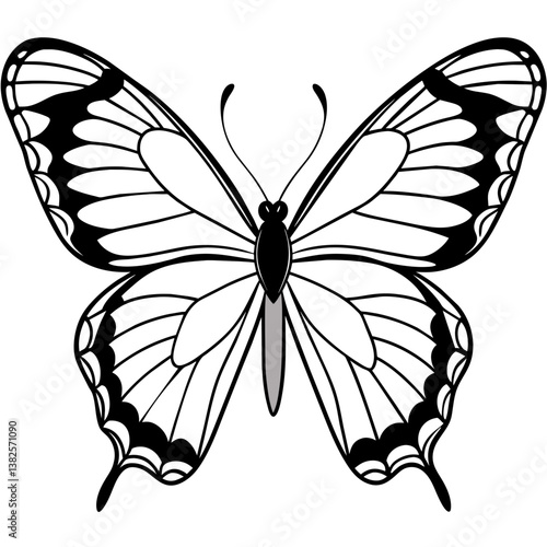 butterfly vector illustration