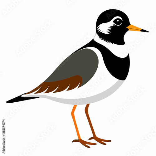 vector illustration of a black bird