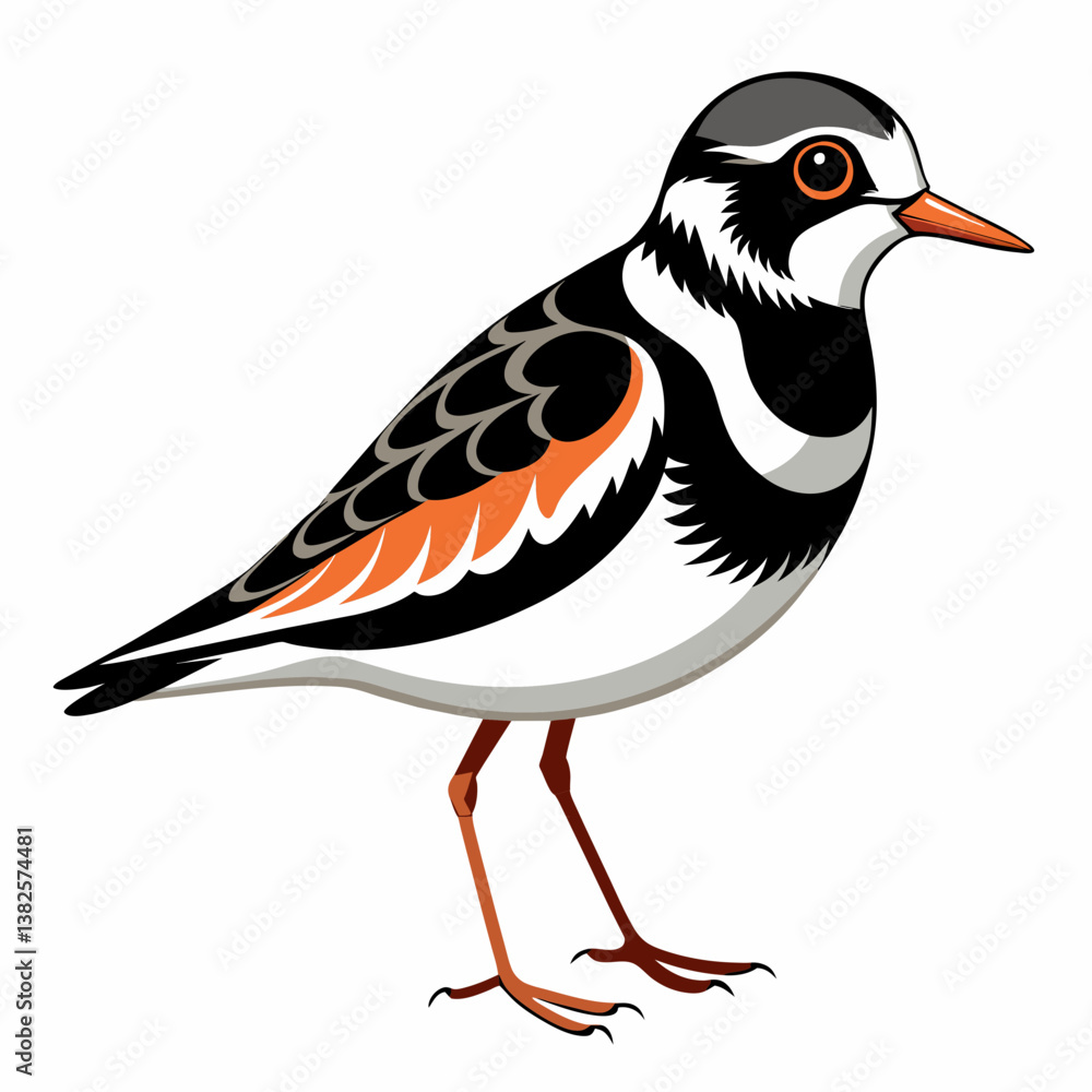 Fototapeta premium vector illustration of cartoon bird