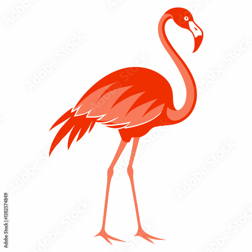 flamingo on white background