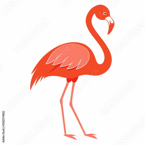 flamingo on white background