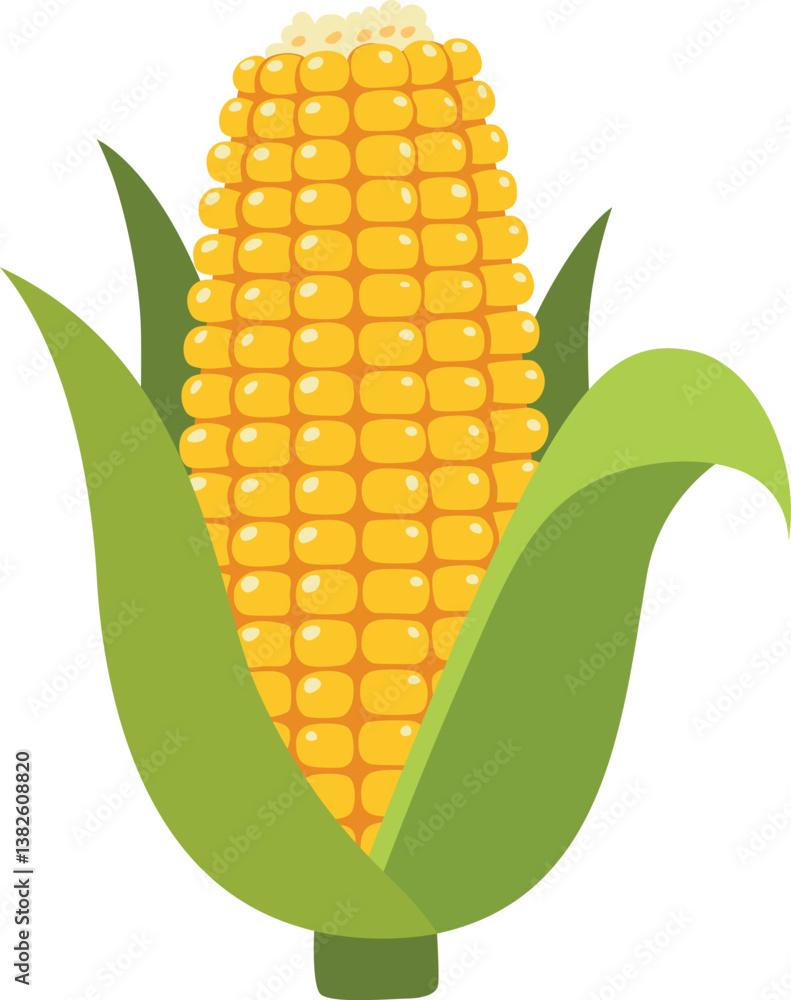 Obraz premium Fresh corn on the cob