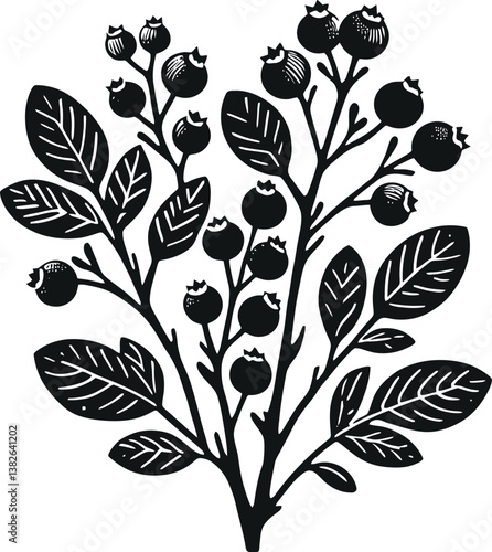 Blueberry Branch. A vintage-style illustration of a blueberry plant, perfect for nature-themed designs.