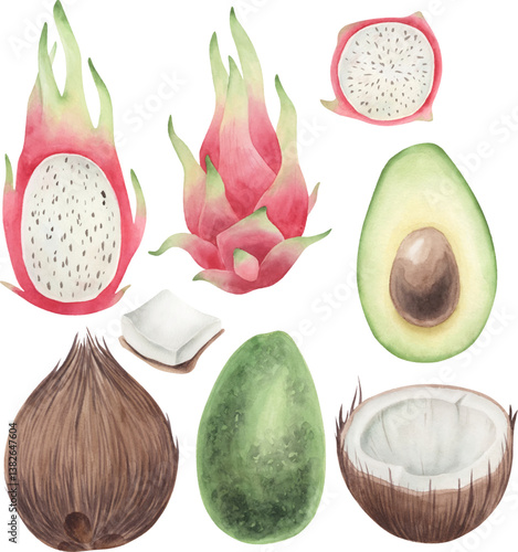 Set of watercolor vector dragon fruits and coconut and avocado..eps
