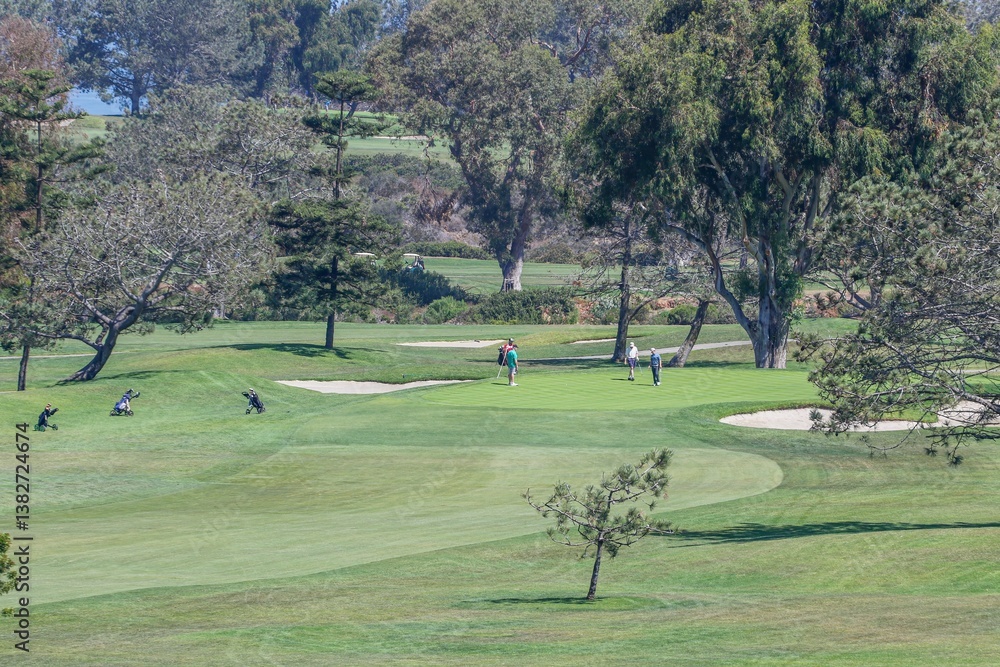 Fototapeta premium Golfers on a Sunny Golf Course