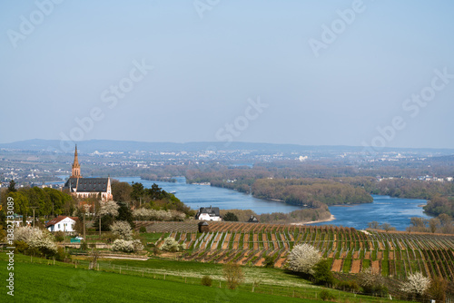 Rochusberg, April 2025