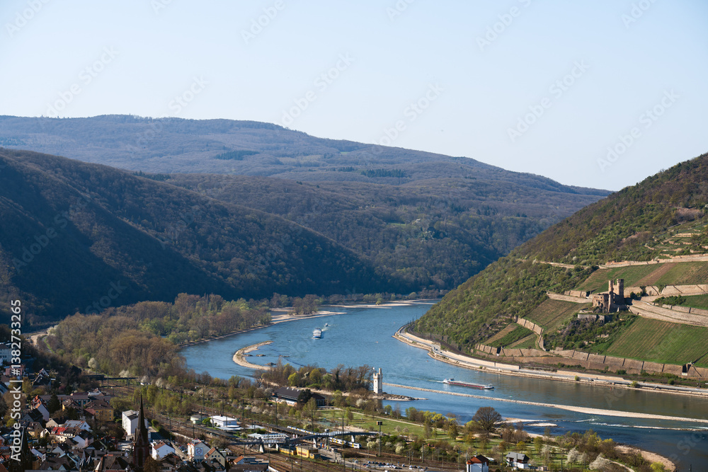 Blick auf den Rhein vom Rochusberg, April 2025