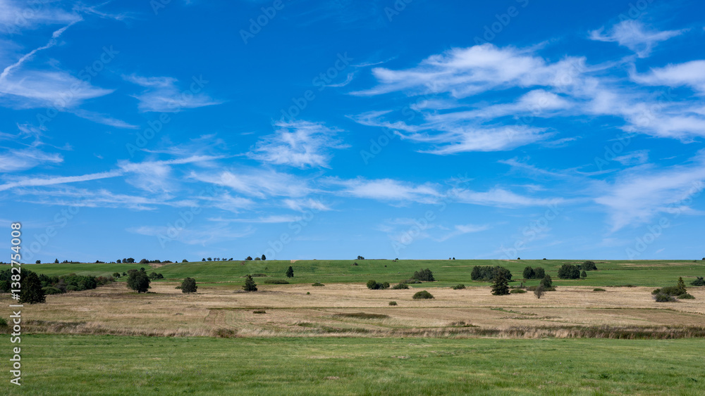 Landscape with green meadow and some trees Landscape with green meadow and some trees