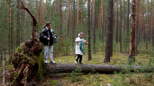 Children exploring a fallen tree in the forest with pine trees and moss on the ground