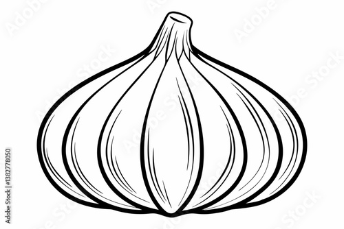 coloring page line art the garlic black vector