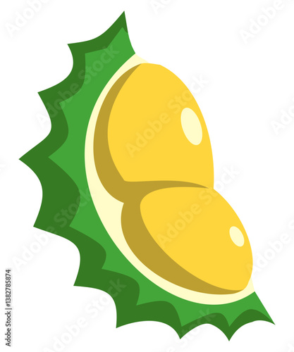 Durian tropical fruit. Flat vector. Colored HD illustration SVG format vector graphic, editable 5 colors