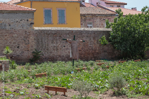 streets photographed on a summer day in Cunda Island, building walls, pink flowering trees, fragrant flowers in front of windows and doors. scarecrow man for birds in the garden.