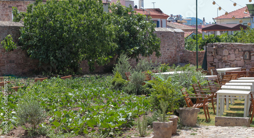colorful, vibrant photographs taken on a summer day on Cunda Island. White chairs, doors, walls. Vintage designs of restaurants and cafes in touch with nature.