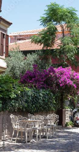 vivid photographs in nature taken on summer day on Cunda Island. Pink bougainvillea tree. White, ecru, cream colored chairs, doors, walls. Vintage designs for restaurants, cafes in touch with nature