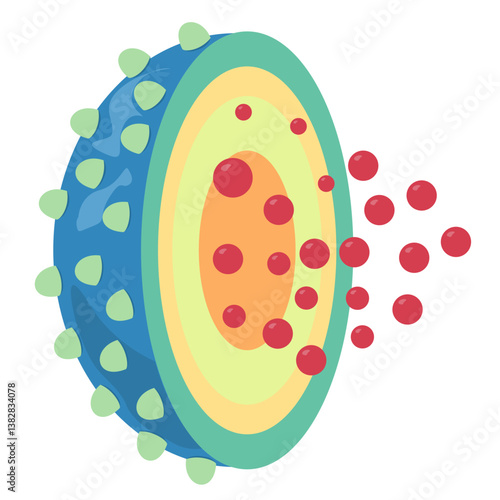 Lysosome Cell organelle structure anatomy