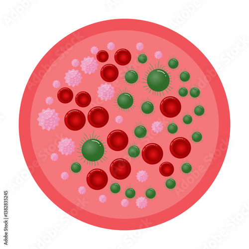 Plasmodium Vivax Schizont flat Illustration