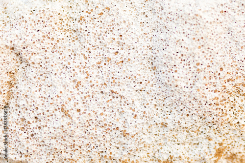 Valokuva white porous texture of natural stone close-up