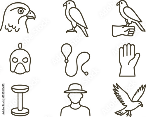Vector illustration of bird-related line icons depicting various activities and tools used in avian care and training during daytime