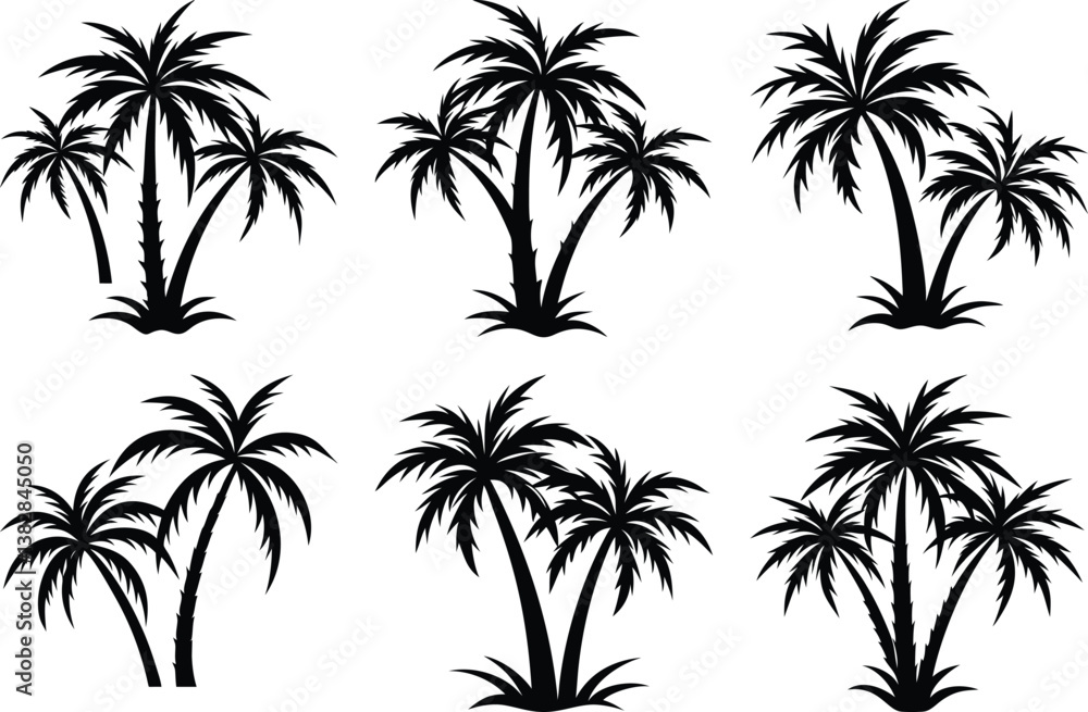 Fototapeta premium plam tree silhouette on white background