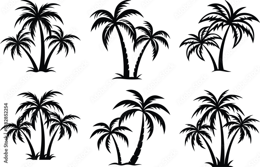 Fototapeta premium plam tree silhouette on white background