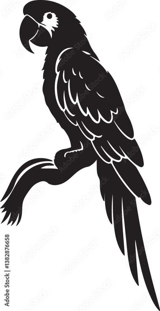 Fototapeta premium eagle on white background