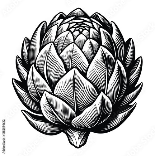 an organic, healthy plant artichoke with intricate layers of leaves silhouette vector illustration isolated 