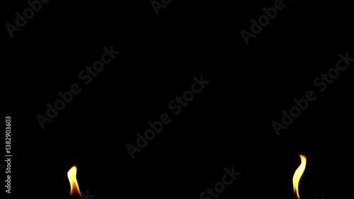 Flames are burning isolated on a black background. Concept of particles, sparkles, flame and light