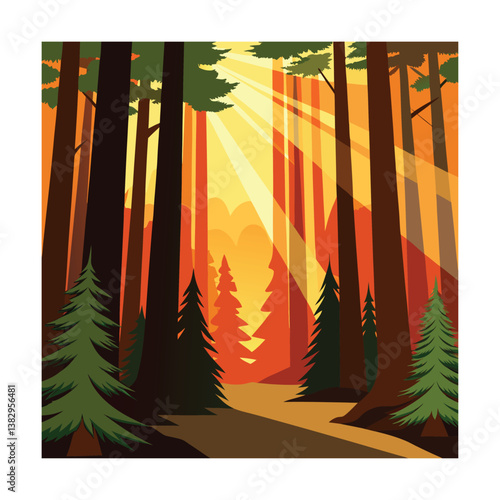 Sunlight Filtering Through Redwood Forest at Sunrise