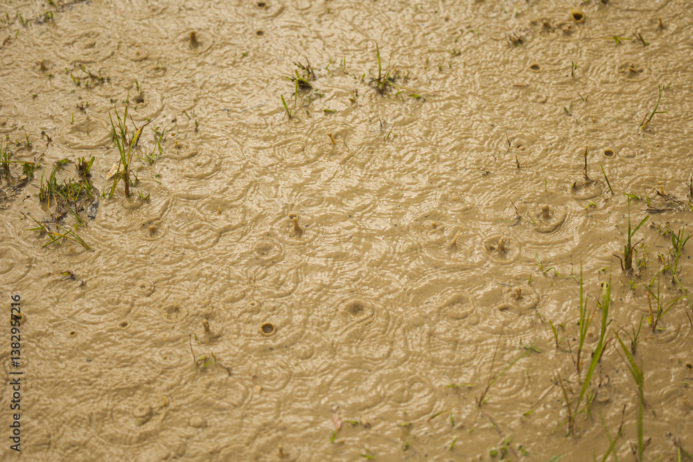 gocce di pioggia di un temporale che cadono sulla superficie di una pozzanghera di acqua e fango