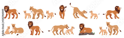 Lion animal family. Lioness, cub baby, king cat. Jungle cartoon flat zoo characters. Safari nature wild. Mammal in wildlife, pride in savannah. Vector illustration African tidy fauna isolated set