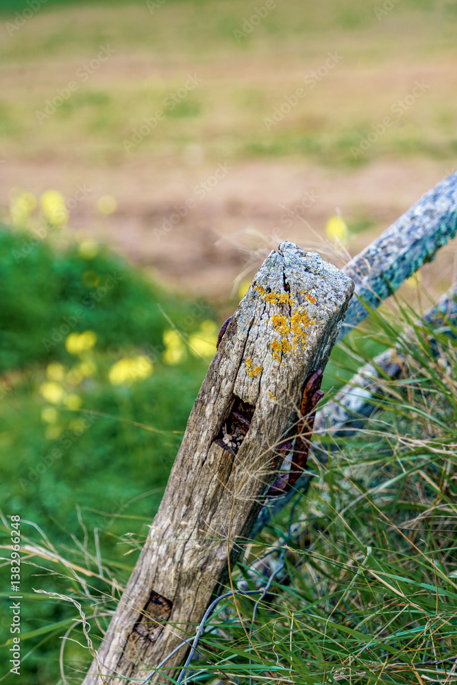 A close-up shot of a rustic wooden fence post in Menorca, showcasing its weathered texture and lichen detail, capturing the essence of the island rural charm. Rustic Menorcan Fence Post