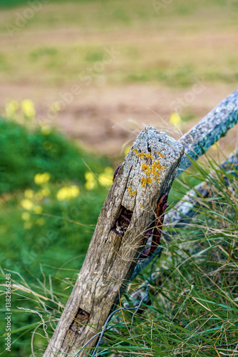 A close-up shot of a rustic wooden fence post in Menorca, showcasing its weathered texture and lichen detail, capturing the essence of the island rural charm. Rustic Menorcan Fence Post