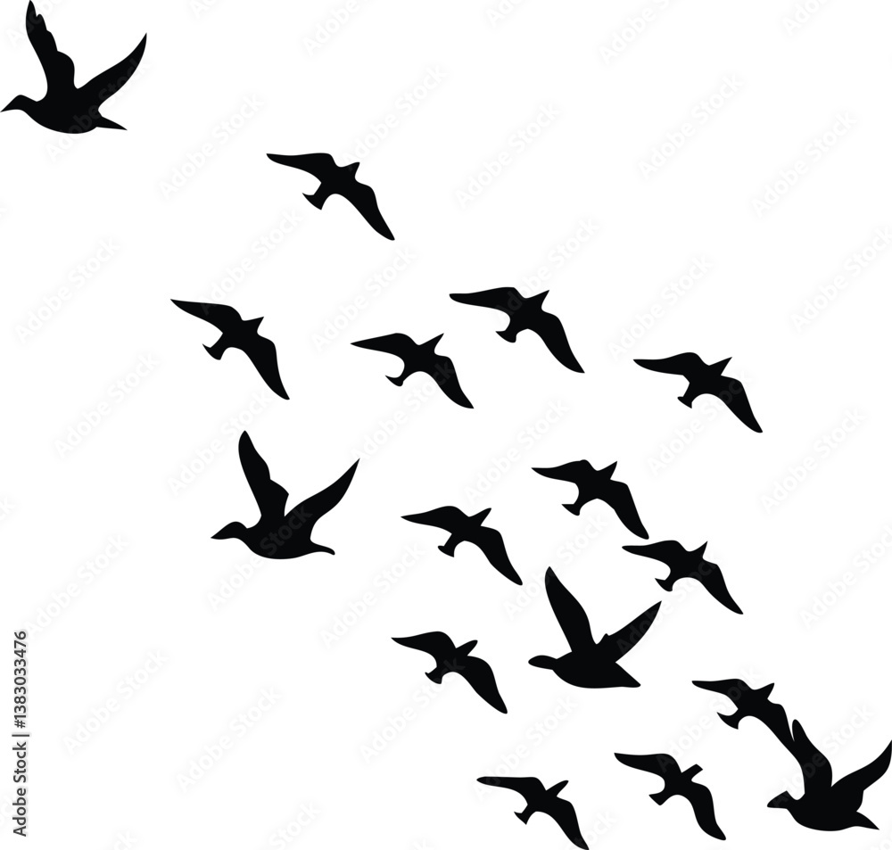 Black and white silhouette of a bird soaring above a valley, ideal for logos, branding, and digital artwork. Black and white silhouette of a bird soaring above a valley, ideal for logos, branding, and digital artwork.