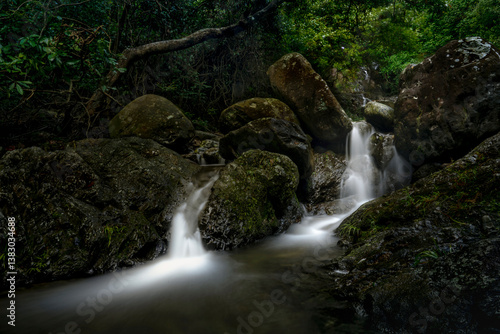 waterfall in the forest