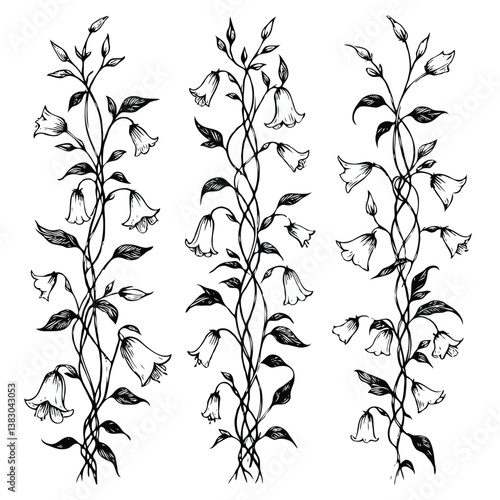 Set of twigs, branches of leaves, doodle floral pattern. Hand drawn Botanical drawing. Detailed line art bluebell, Campanula vine illustration. Outline Simple Stylized Art, harebell flowers blossom